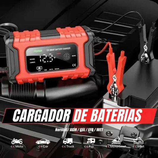 PowerMax® Cargador y reparador de Baterías
