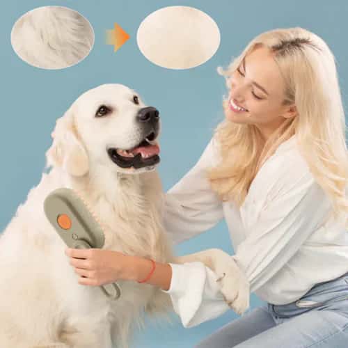 CattuPro™ - Cepillo de Vapor 3 en 1 para Gatos